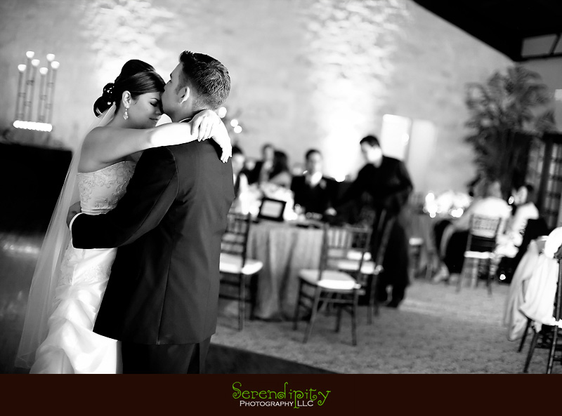 houston wedding photographers, houston wedding photography, wedding photographer, austin wedding photographers, digital photography, magazine style wedding album, coffee table book, photojournalism, photojournalistic, engagement portraits, bridal portraits, houston texas, wedding photos, serendipity photography, romantic wedding photos, unique wedding, destination wedding photographer, natural, modern, fun, candid, fresh, contemporary, edgy, artistic