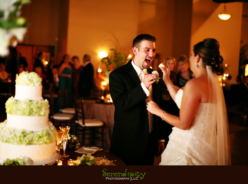 houston wedding photographers, houston wedding photography, wedding photographer, austin wedding photographers, digital photography, magazine style wedding album, coffee table book, photojournalism, photojournalistic, engagement portraits, bridal portraits, houston texas, wedding photos, serendipity photography, romantic wedding photos, unique wedding, destination wedding photographer, natural, modern, fun, candid, fresh, contemporary, edgy, artistic