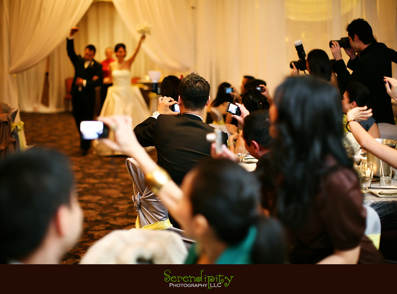 bride and groom reception grand entrance bride and groom reception grand entrance