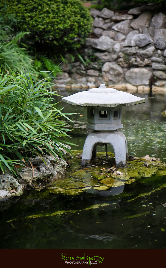 japanese garden in zilker botanical garden