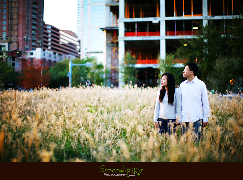 cool picture at discovery green cool picture at discovery green