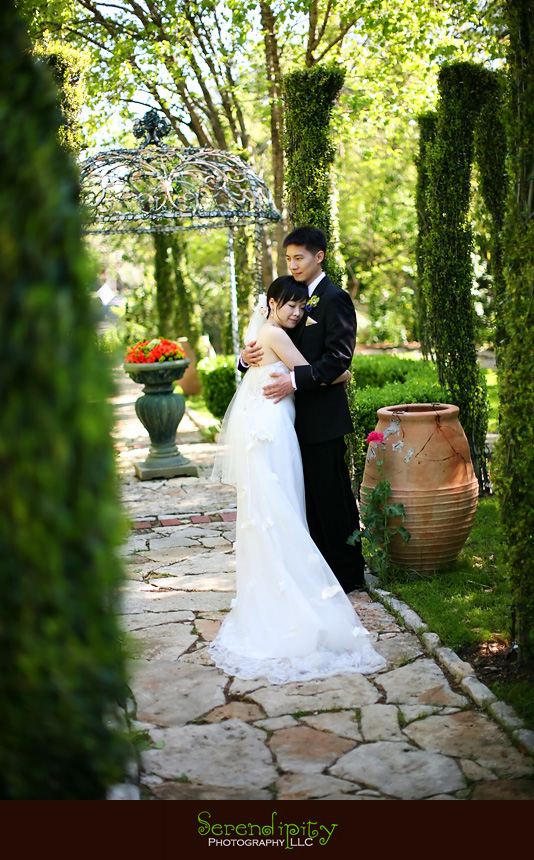 houston wedding photographer birthday