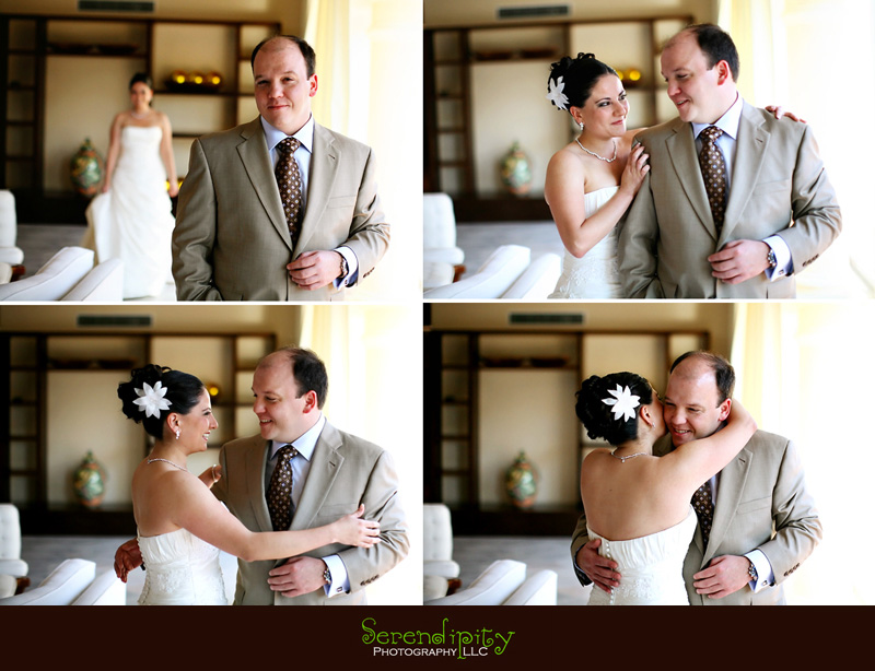destination wedding puerto vallarta 