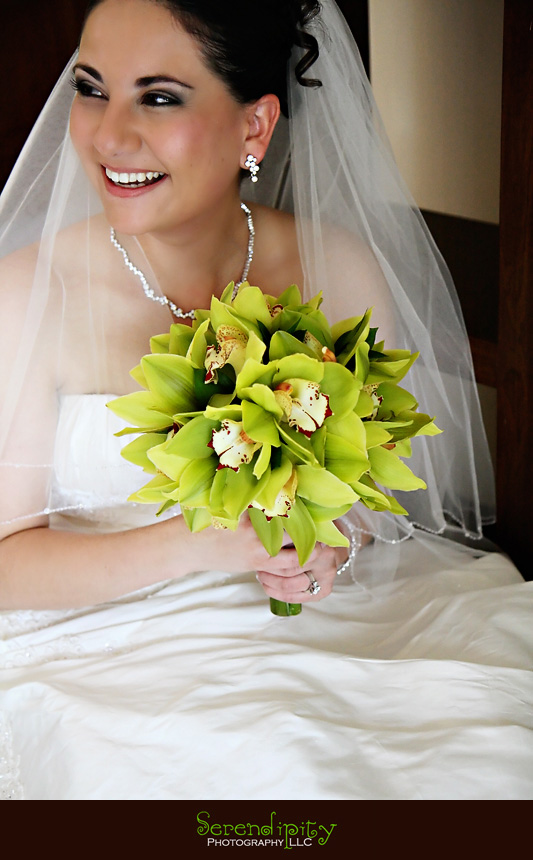 destination wedding puerto vallarta 