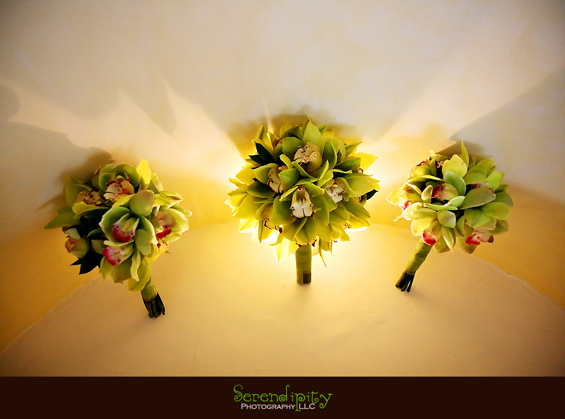 destination wedding puerto vallarta 