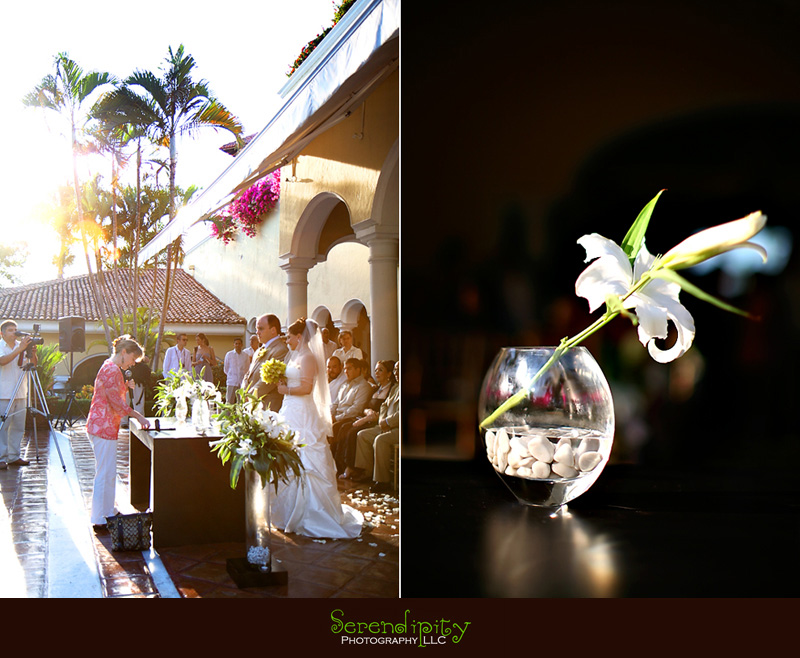 destination wedding puerto vallarta 