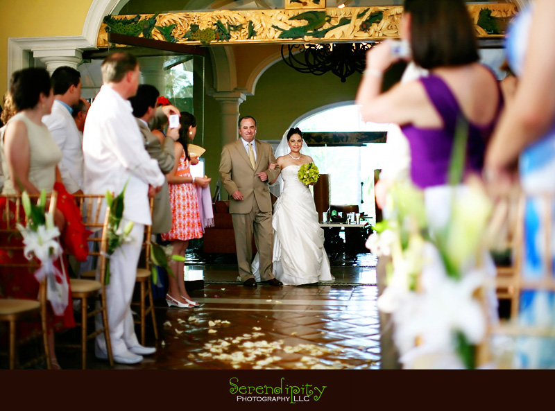 destination wedding puerto vallarta 