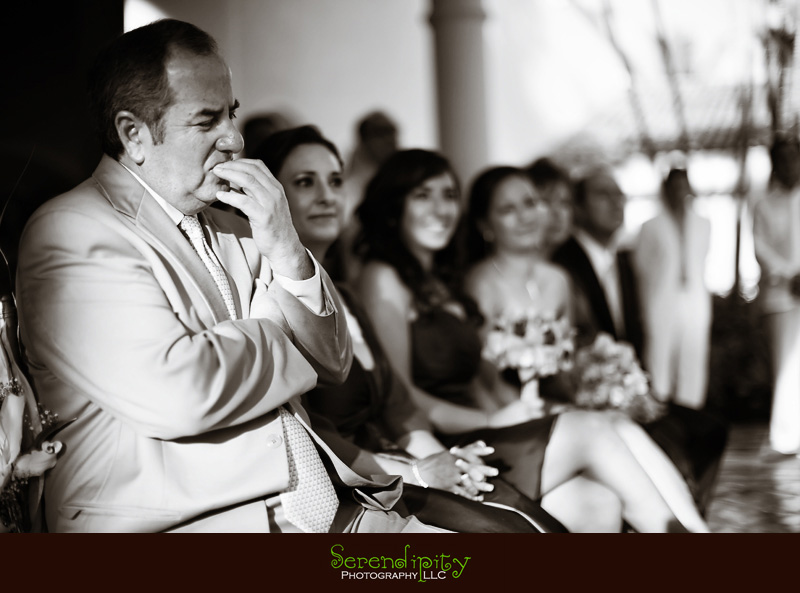 destination wedding puerto vallarta 