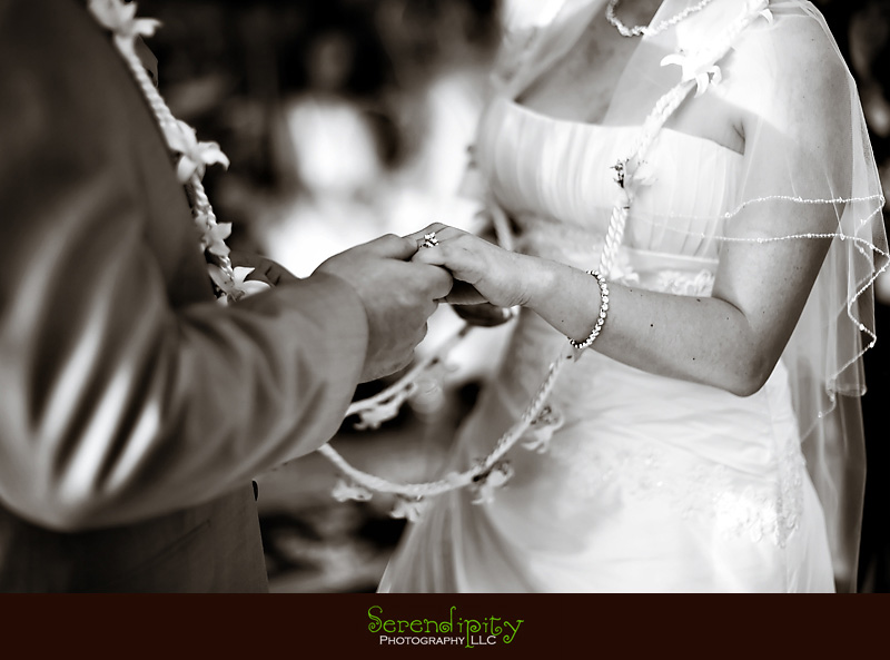 destination wedding puerto vallarta 