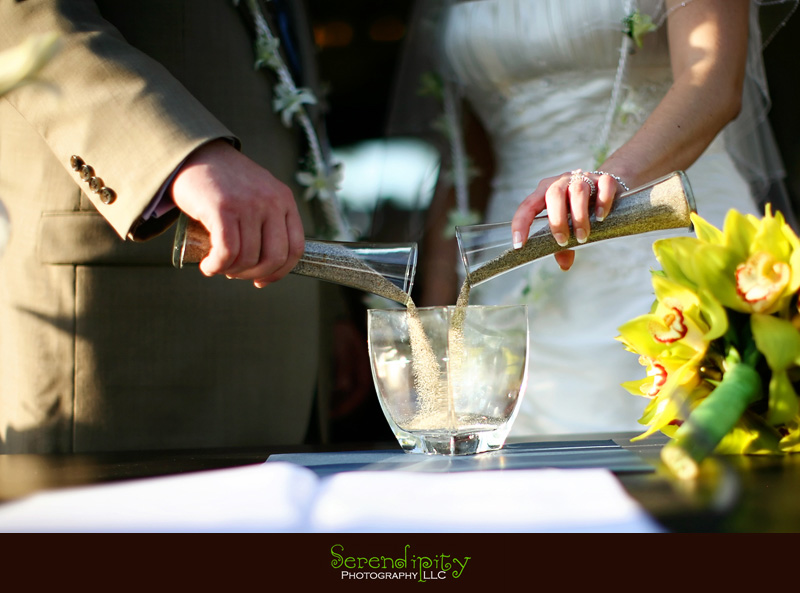 destination wedding puerto vallarta 