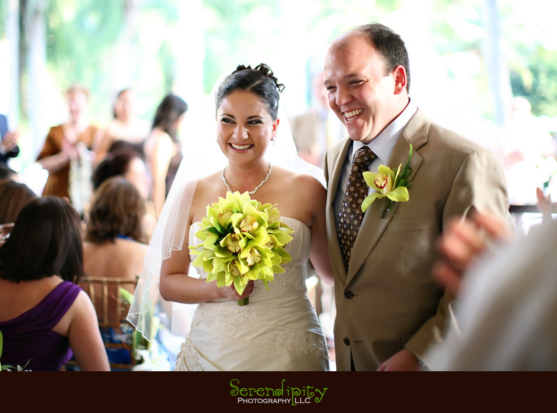 destination wedding puerto vallarta 