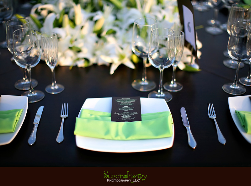 destination wedding reception puerto vallarta 