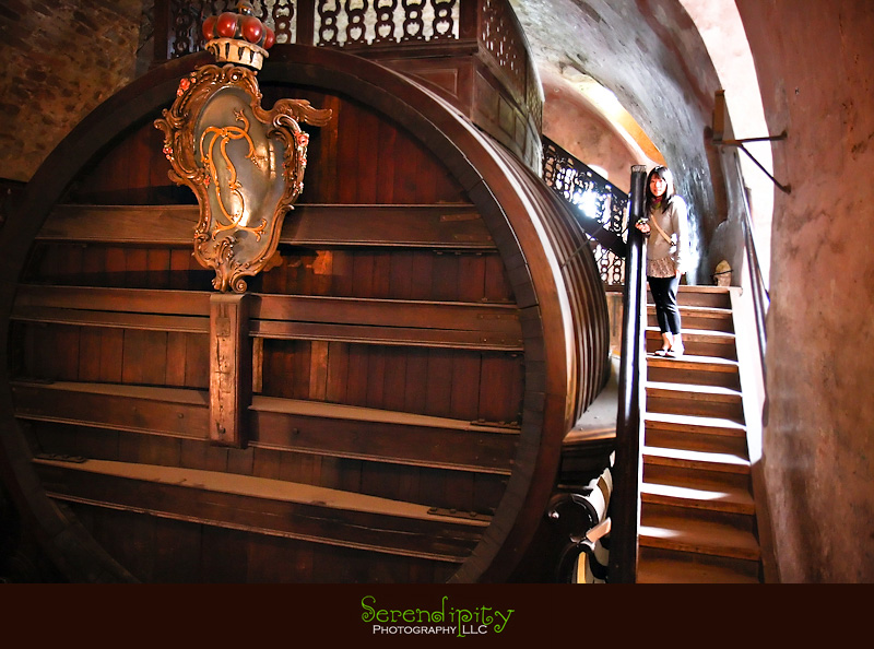 europe, germany, switzerland, fairytale, castle, romantic road, autobahn, sausage, medieval, chocolate, church, Alps, swan, german beer 