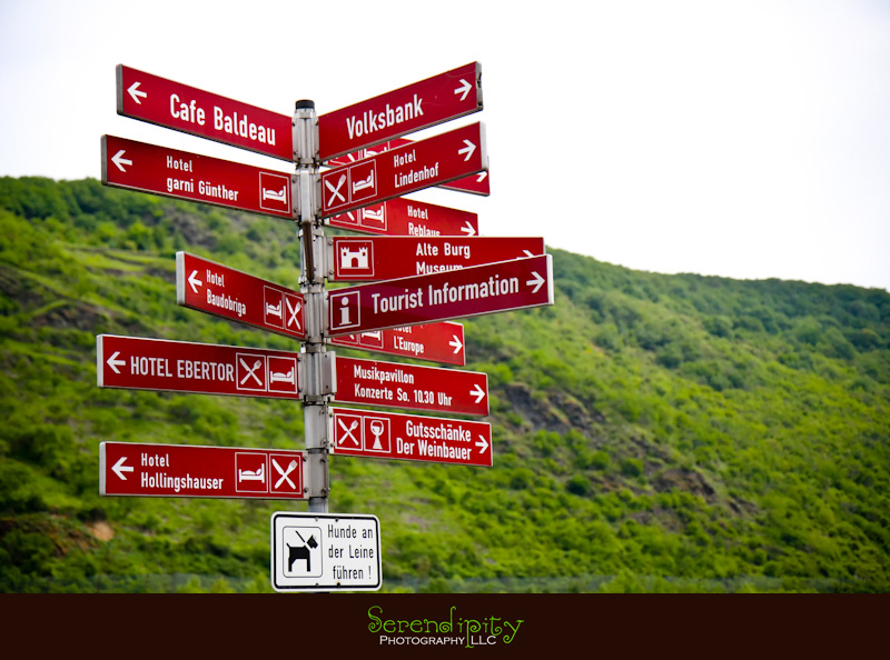 europe, germany, switzerland, fairytale, castle, romantic road, autobahn, sausage, medieval, chocolate, church, Alps, swan, german beer 