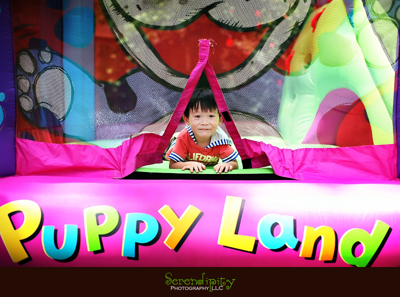 birthday party, twins, baby portrait, lifestyle 