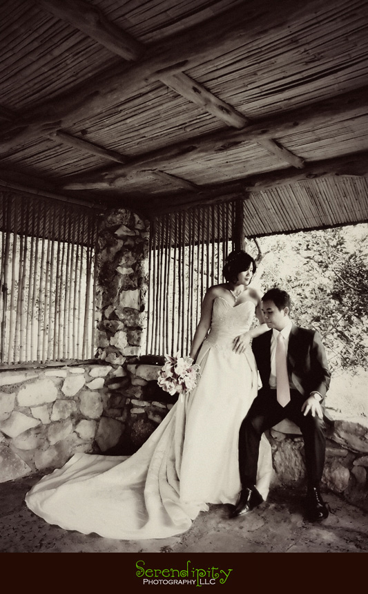 bridal portrait session, engagement session, Austin downtown, 6th street, Zilker park, botanical garden
