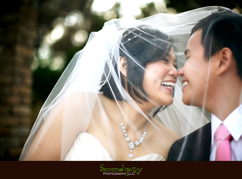 bridal portrait session, engagement session, Austin downtown, 6th street, Zilker park, botanical garden
