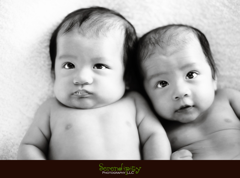 baby portrait, 3 month session, twins