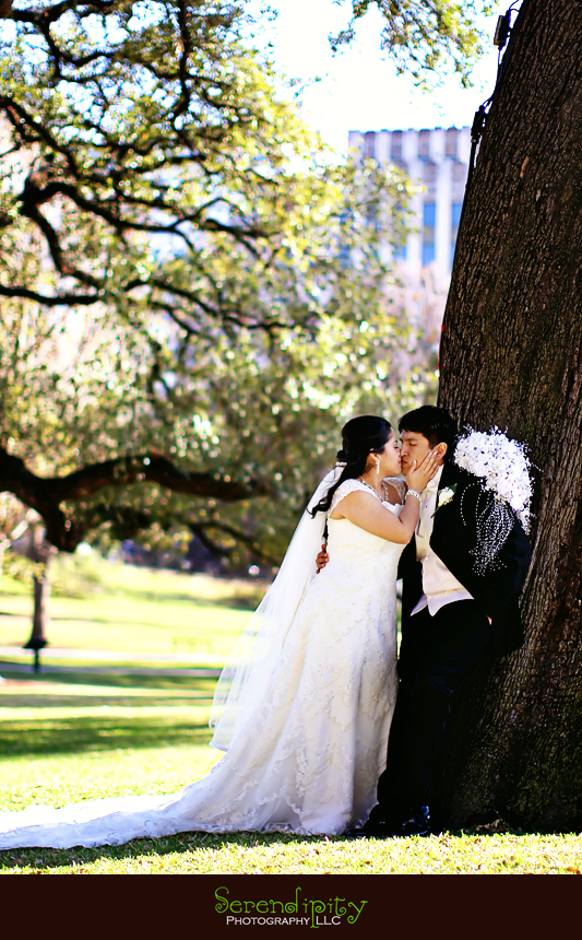 bride and groom portrait, Texas State Capitol