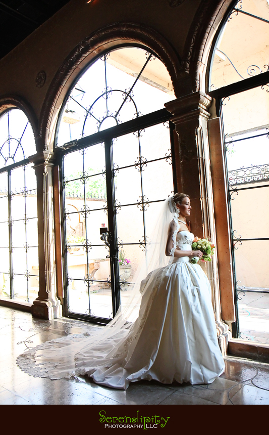Paraiso Maravilla, bride's dress