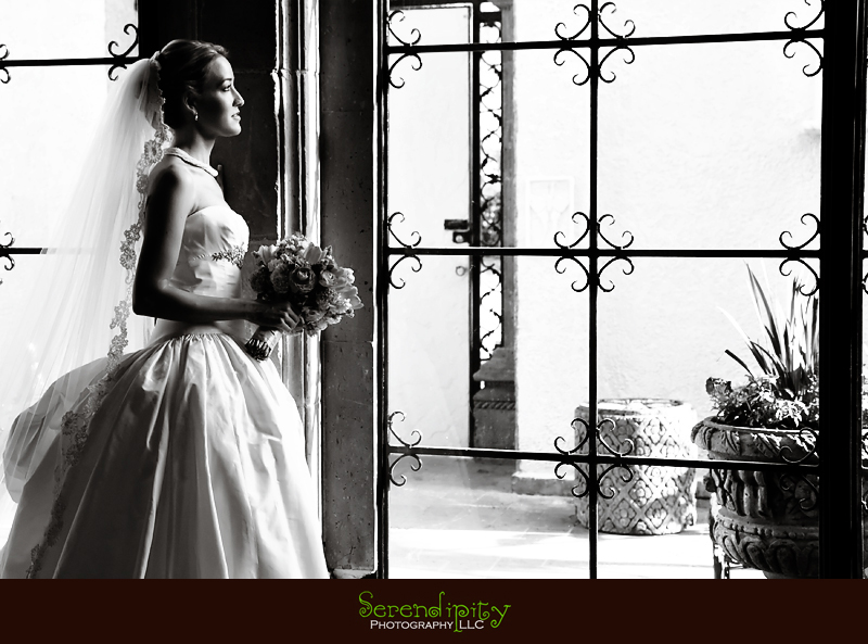 bride, Paraiso Maravilla