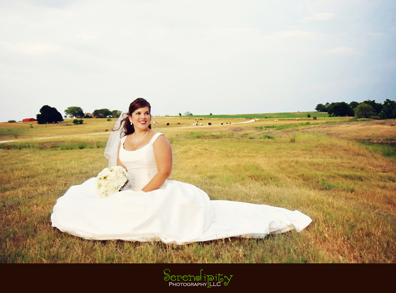 bridal shoot, sitting on grass with cows