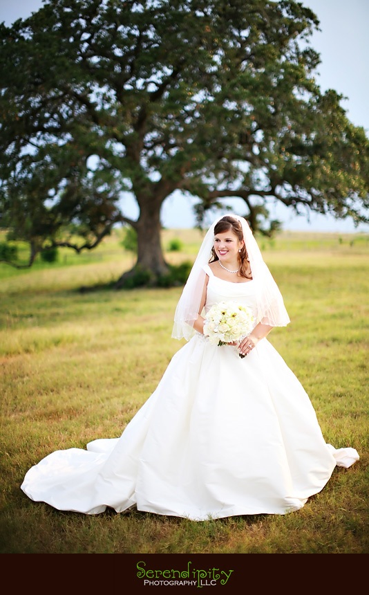 bridal session in front of big tree