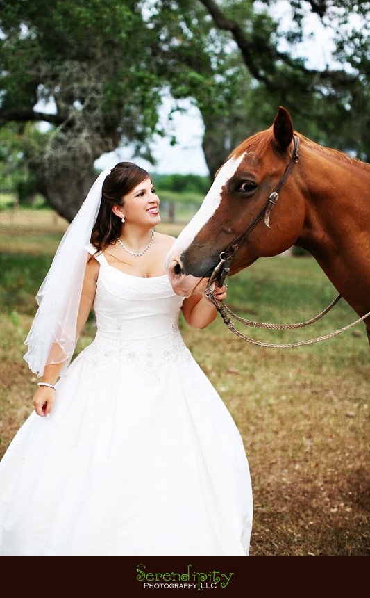 bride and horse