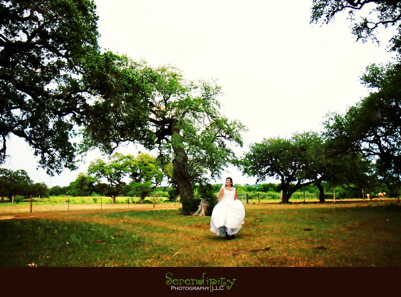 bride and green