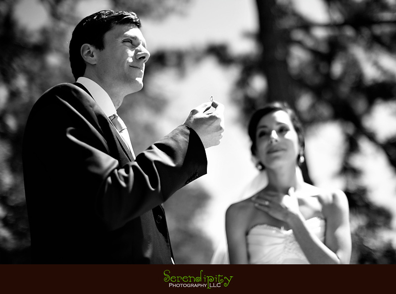 outdoor ceremony, ring exchange