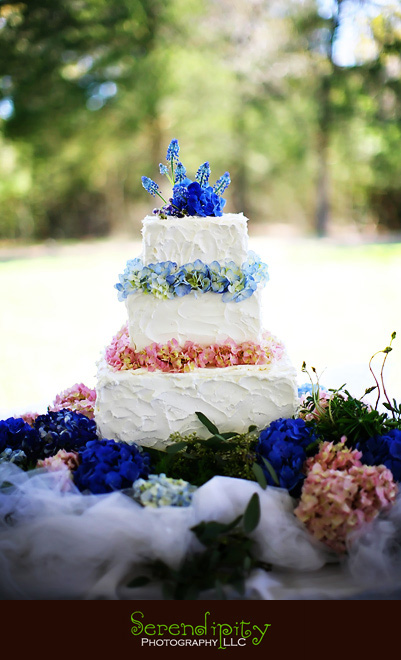 What a cute cake for their outdoor wedding