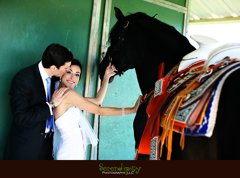 houston wedding photographer, bride and groom portrait