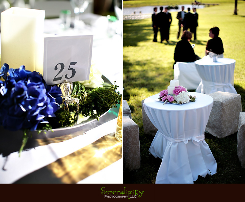 houston wedding photographer, wedding decorations, wedding setup