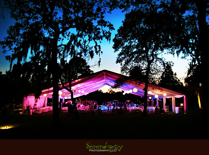 houston wedding photographer, wedding reception, outdoor reception, tent