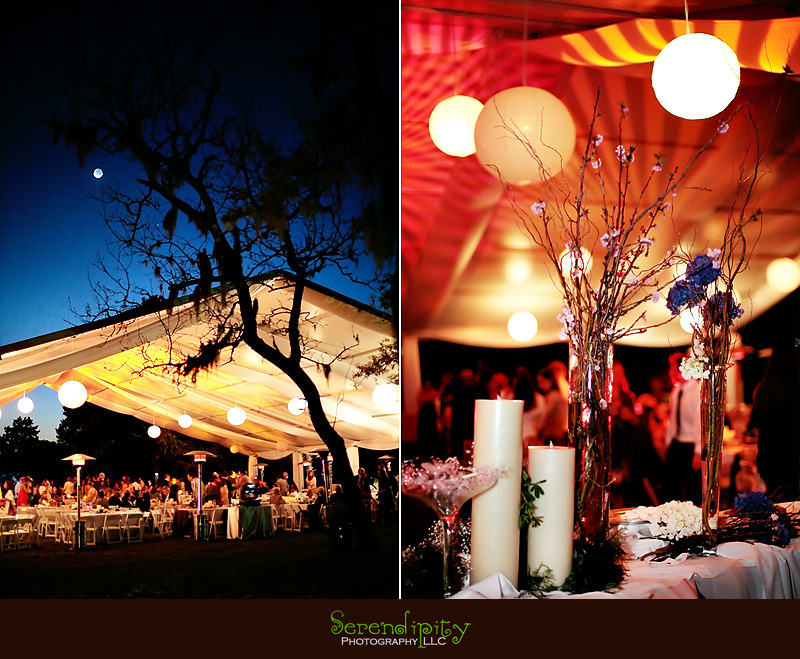 houston wedding photographer, wedding reception, wedding decoration, wedding environment