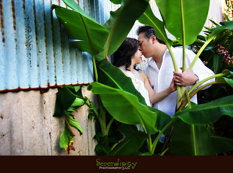 downtown houston, engagement photography, art studio, banana leaves
