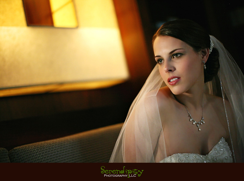 Hotel Derek, galleria, bridal portrait, Houston Wedding photography