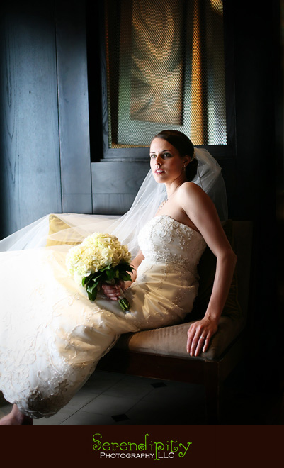 Hotel Derek, galleria, bridal portrait, Houston Wedding photography