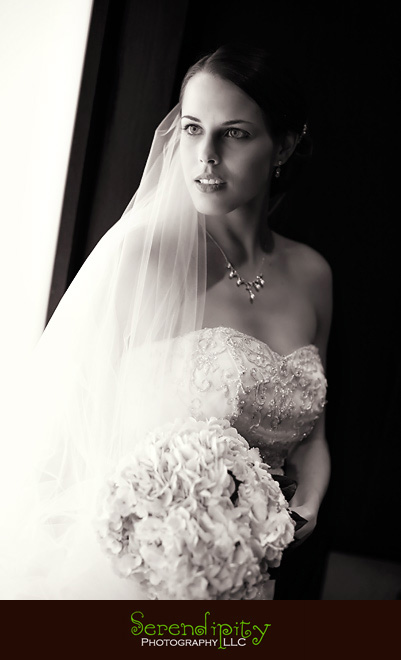 Hotel Derek, galleria, bridal portrait, Houston Wedding photography