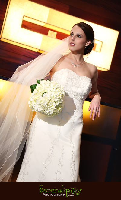 Hotel Derek, galleria, bridal portrait, Houston Wedding photography