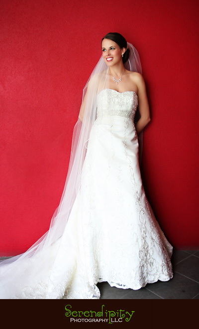 Hotel Derek, galleria, bridal portrait, Houston Wedding photography