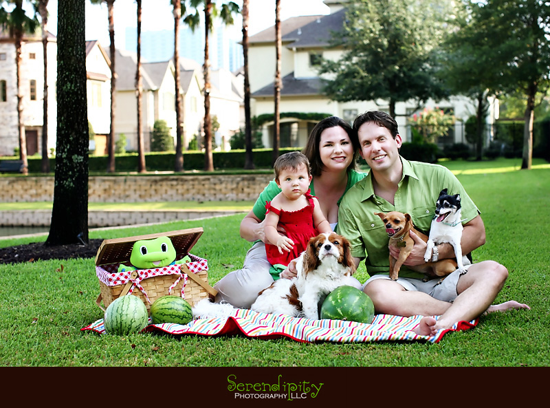 houston baby photography, houston baby portrait, hermann park, private home
