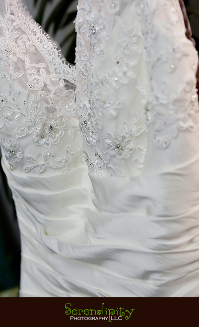 houston wedding photographer, details of the wedding gown 
