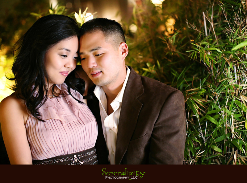 hermann park, downtown houston, engagement photography