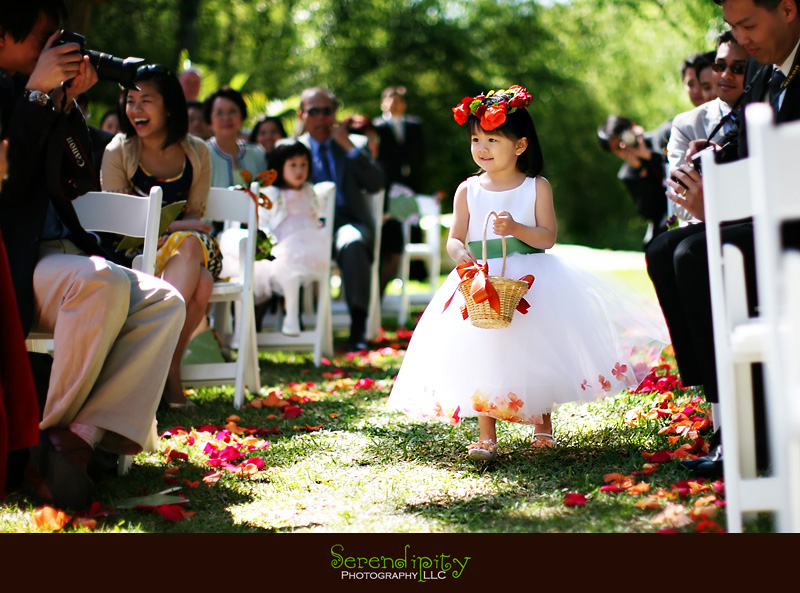 houston wedding photographer, flower girl