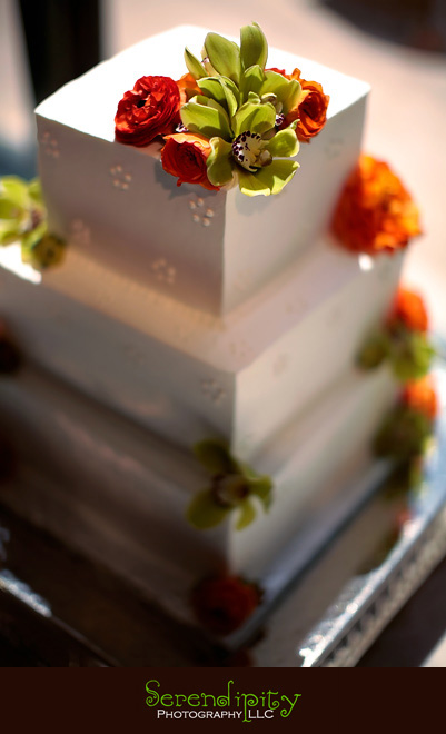 houston wedding photographer, wedding cake