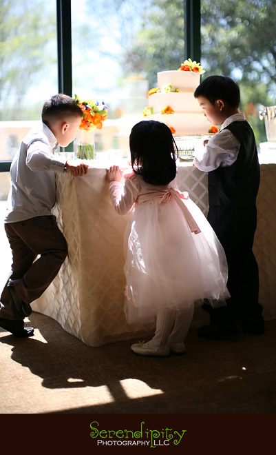 houston wedding photographer, kids and cake
