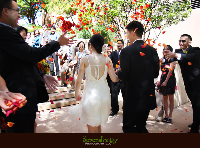 houston wedding photographer, petal toss exit