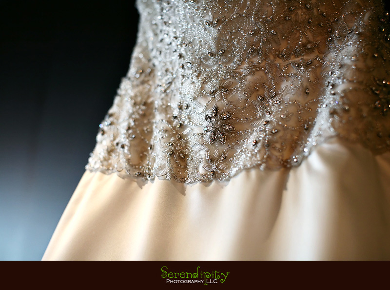 houston wedding photography, bridal dress, gown, petroleum club