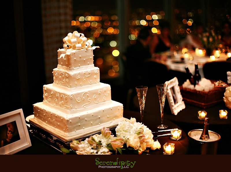 houston wedding photographer, wedding cake, downtown view